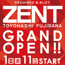 ZENT 豊橋藤沢店 おすすめ情報