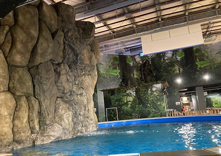 釣って見つけるぼうけんの国