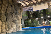 釣って見つけるぼうけんの国