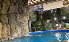 釣って見つけるぼうけんの国